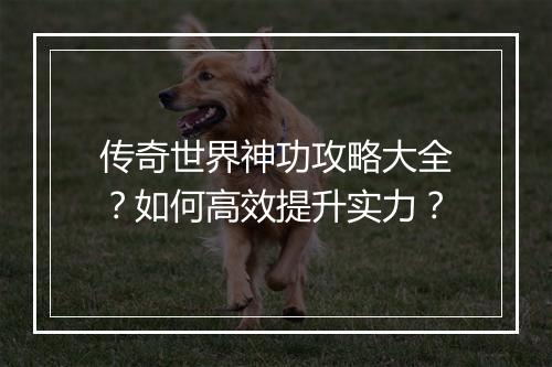 传奇世界神功攻略大全？如何高效提升实力？