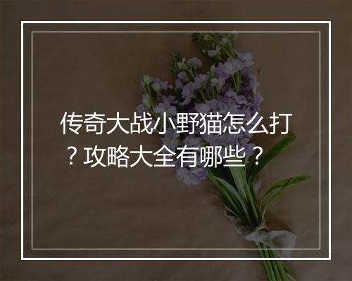 传奇大战小野猫怎么打？攻略大全有哪些？