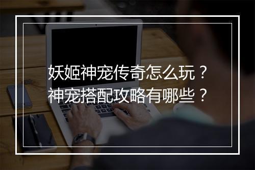 妖姬神宠传奇怎么玩？神宠搭配攻略有哪些？