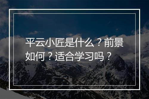 平云小匠是什么？前景如何？适合学习吗？