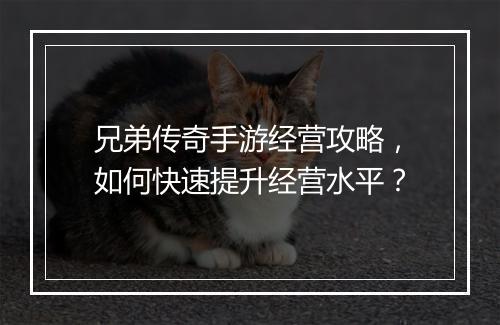 兄弟传奇手游经营攻略，如何快速提升经营水平？
