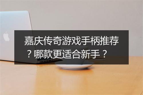 嘉庆传奇游戏手柄推荐？哪款更适合新手？