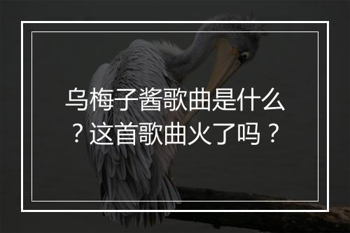 乌梅子酱歌曲是什么？这首歌曲火了吗？