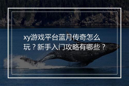 xy游戏平台蓝月传奇怎么玩？新手入门攻略有哪些？