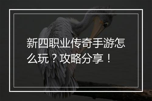 新四职业传奇手游怎么玩？攻略分享！