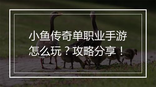 小鱼传奇单职业手游怎么玩？攻略分享！