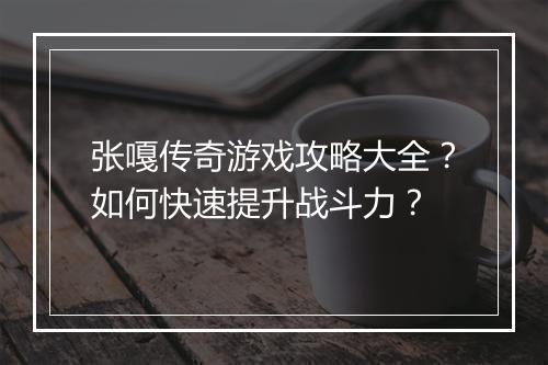 张嘎传奇游戏攻略大全？如何快速提升战斗力？