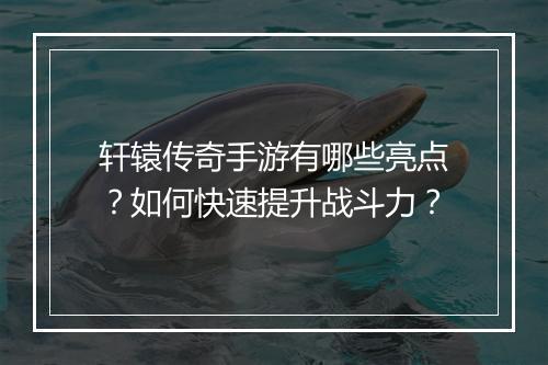 轩辕传奇手游有哪些亮点？如何快速提升战斗力？
