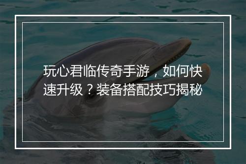 玩心君临传奇手游，如何快速升级？装备搭配技巧揭秘