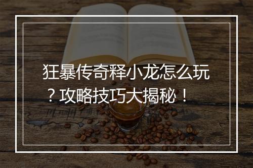 狂暴传奇释小龙怎么玩？攻略技巧大揭秘！