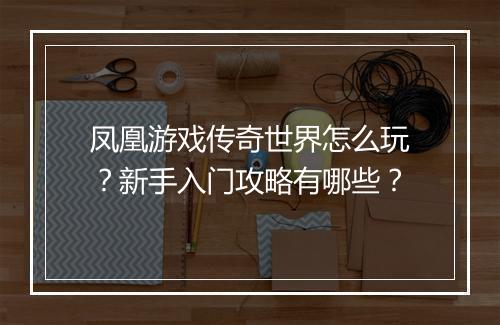 凤凰游戏传奇世界怎么玩？新手入门攻略有哪些？