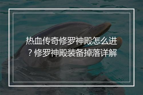 热血传奇修罗神殿怎么进？修罗神殿装备掉落详解