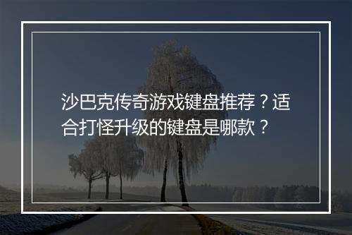 沙巴克传奇游戏键盘推荐？适合打怪升级的键盘是哪款？