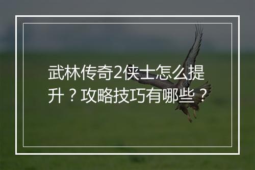 武林传奇2侠士怎么提升？攻略技巧有哪些？