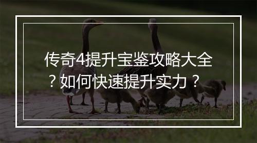 传奇4提升宝鉴攻略大全？如何快速提升实力？