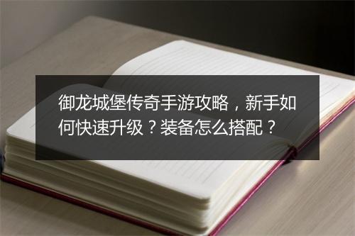 御龙城堡传奇手游攻略，新手如何快速升级？装备怎么搭配？