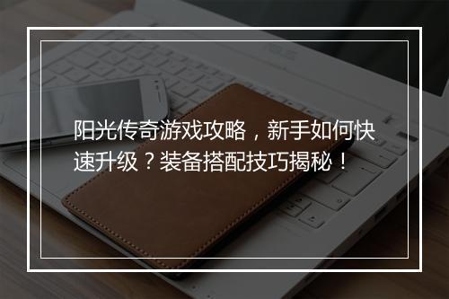阳光传奇游戏攻略，新手如何快速升级？装备搭配技巧揭秘！