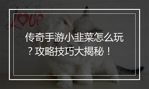 传奇手游小韭菜怎么玩？攻略技巧大揭秘！