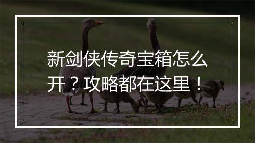 新剑侠传奇宝箱怎么开？攻略都在这里！
