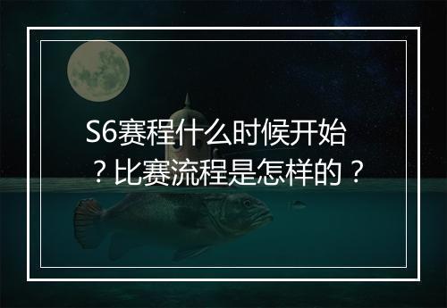 S6赛程什么时候开始？比赛流程是怎样的？