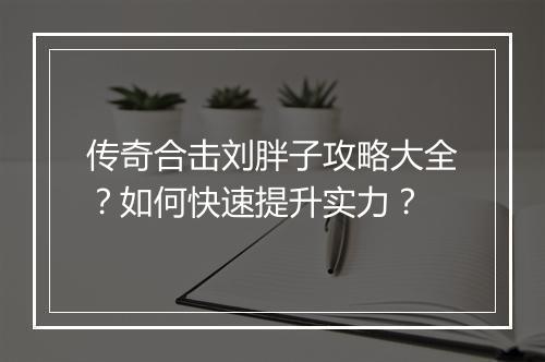 传奇合击刘胖子攻略大全？如何快速提升实力？