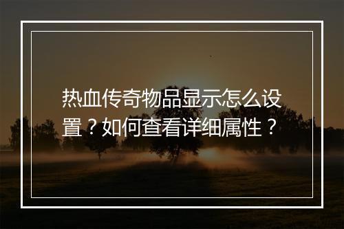 热血传奇物品显示怎么设置？如何查看详细属性？