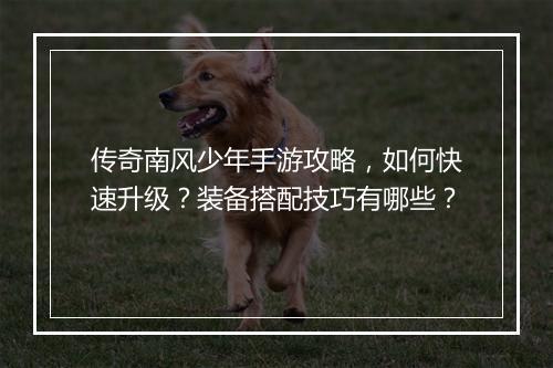 传奇南风少年手游攻略，如何快速升级？装备搭配技巧有哪些？