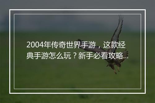 2004年传奇世界手游，这款经典手游怎么玩？新手必看攻略！