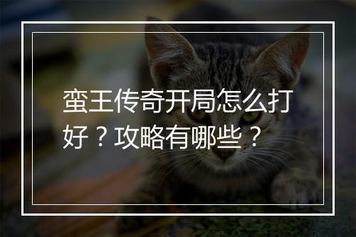 蛮王传奇开局怎么打好？攻略有哪些？