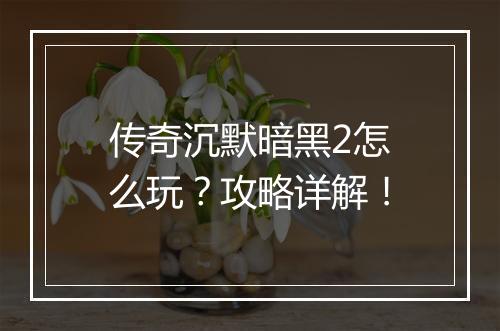 传奇沉默暗黑2怎么玩？攻略详解！