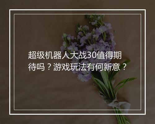 超级机器人大战30值得期待吗？游戏玩法有何新意？