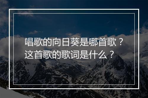 唱歌的向日葵是哪首歌？这首歌的歌词是什么？