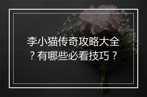 李小猫传奇攻略大全？有哪些必看技巧？