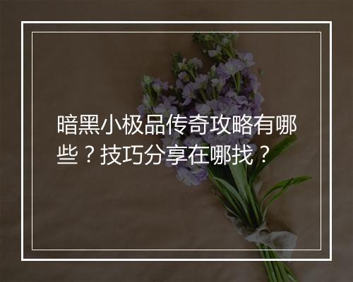 暗黑小极品传奇攻略有哪些？技巧分享在哪找？