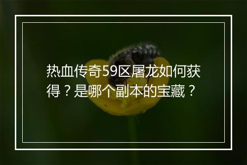热血传奇59区屠龙如何获得？是哪个副本的宝藏？