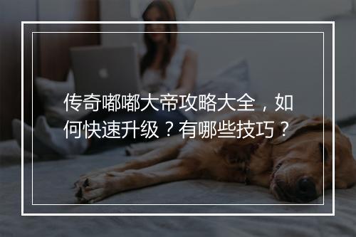 传奇嘟嘟大帝攻略大全，如何快速升级？有哪些技巧？