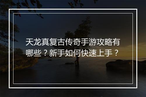 天龙真复古传奇手游攻略有哪些？新手如何快速上手？