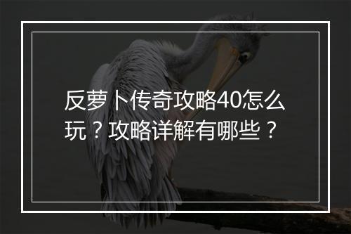 反萝卜传奇攻略40怎么玩？攻略详解有哪些？