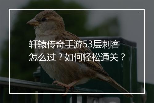轩辕传奇手游53层刺客怎么过?如何轻松通关?