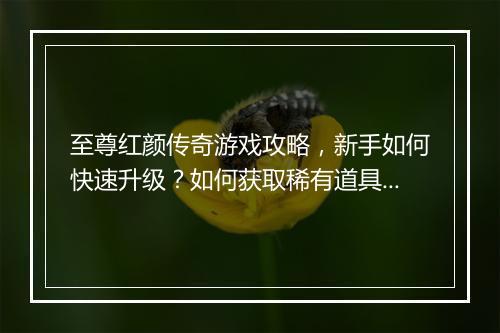 至尊红颜传奇游戏攻略，新手如何快速升级？如何获取稀有道具？