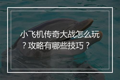 小飞机传奇大战怎么玩？攻略有哪些技巧？