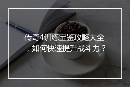 传奇4训练宝鉴攻略大全，如何快速提升战斗力？