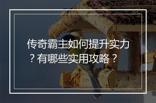 传奇霸主如何提升实力？有哪些实用攻略？