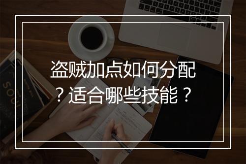 盗贼加点如何分配？适合哪些技能？