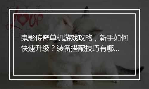 鬼影传奇单机游戏攻略，新手如何快速升级？装备搭配技巧有哪些？