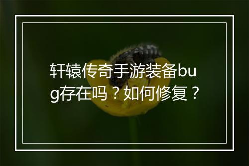 轩辕传奇手游装备bug存在吗？如何修复？