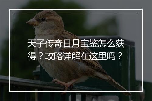 天子传奇日月宝鉴怎么获得？攻略详解在这里吗？