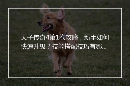 天子传奇4第1卷攻略，新手如何快速升级？技能搭配技巧有哪些？