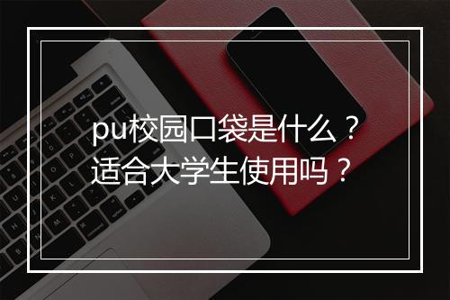 pu校园口袋是什么？适合大学生使用吗？