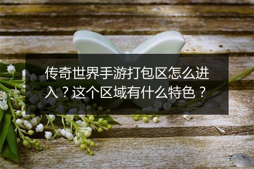 传奇世界手游打包区怎么进入？这个区域有什么特色？